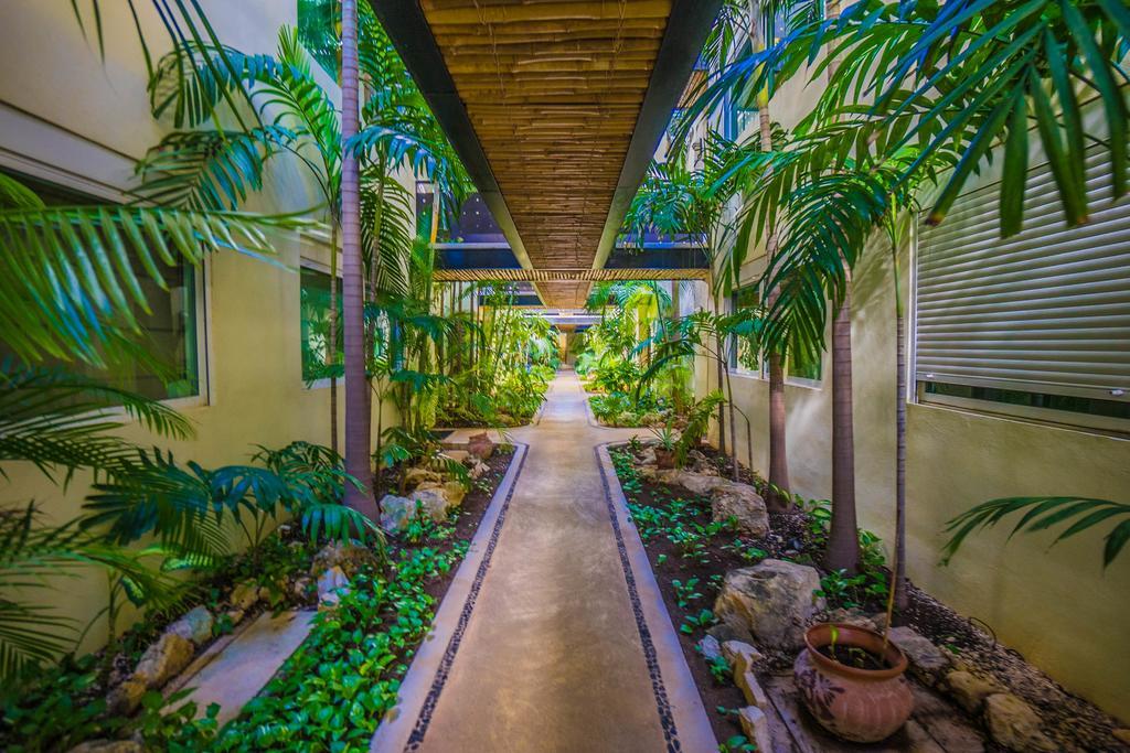 פלאייה דל כרמן Meridian Downtown Apartments מראה חיצוני תמונה